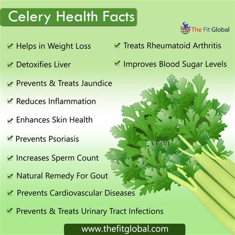 celery royal dial|Celery: Health benefits & nutrition facts .